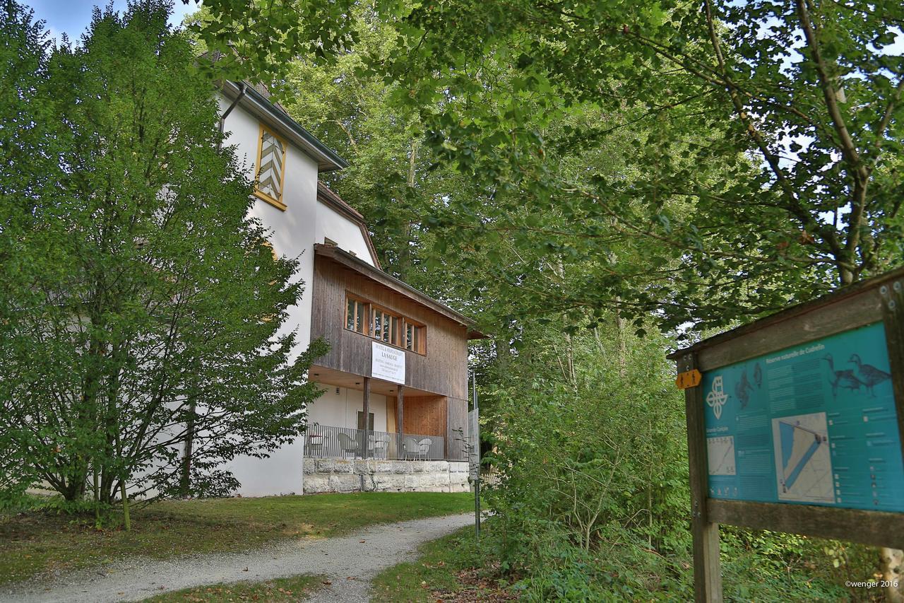 Auberge de La Sauge Cudrefin Extérieur photo